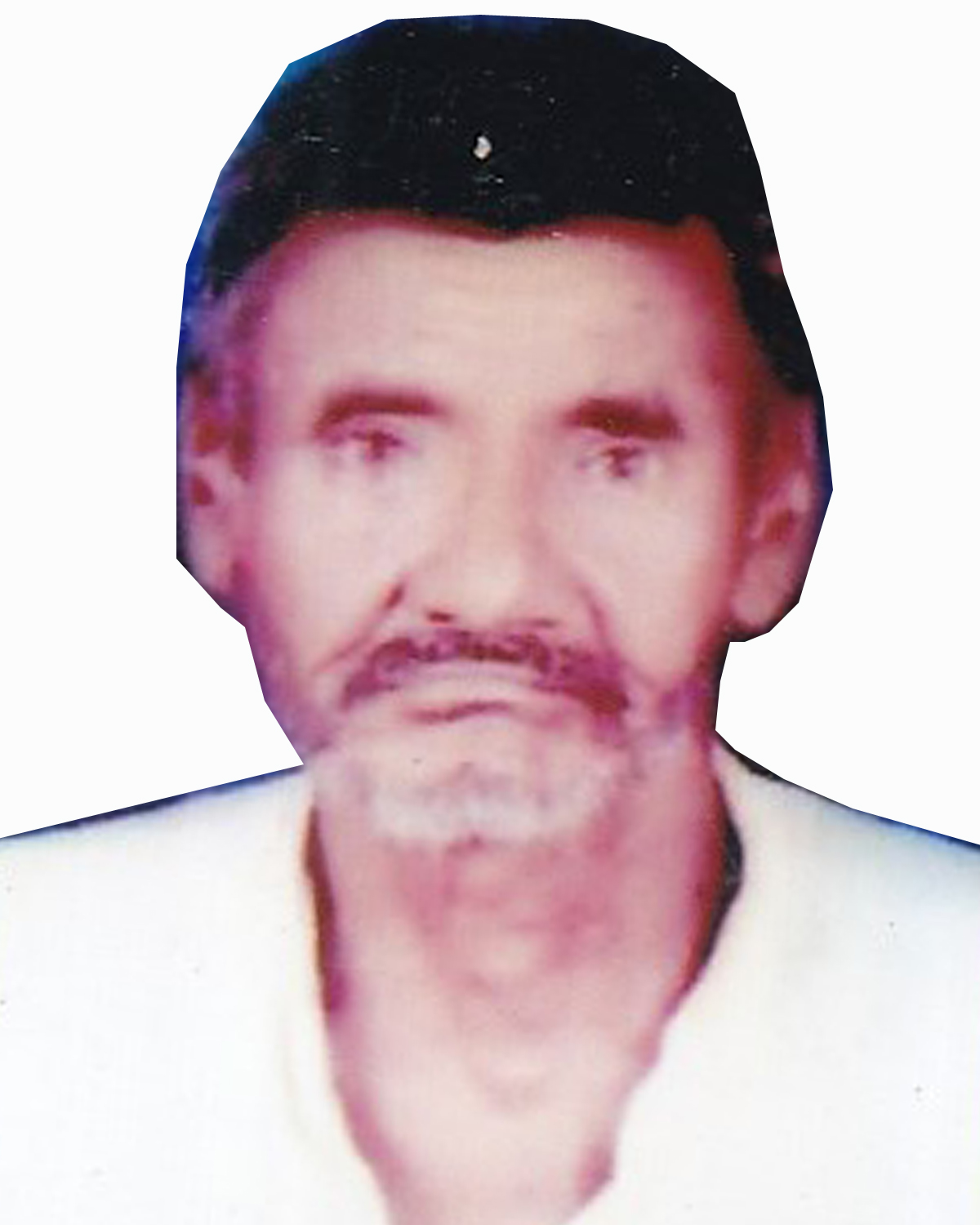 480.jpg